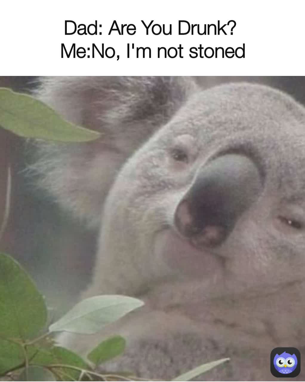 Dad: Are You Drunk? 
Me:No, I'm not stoned