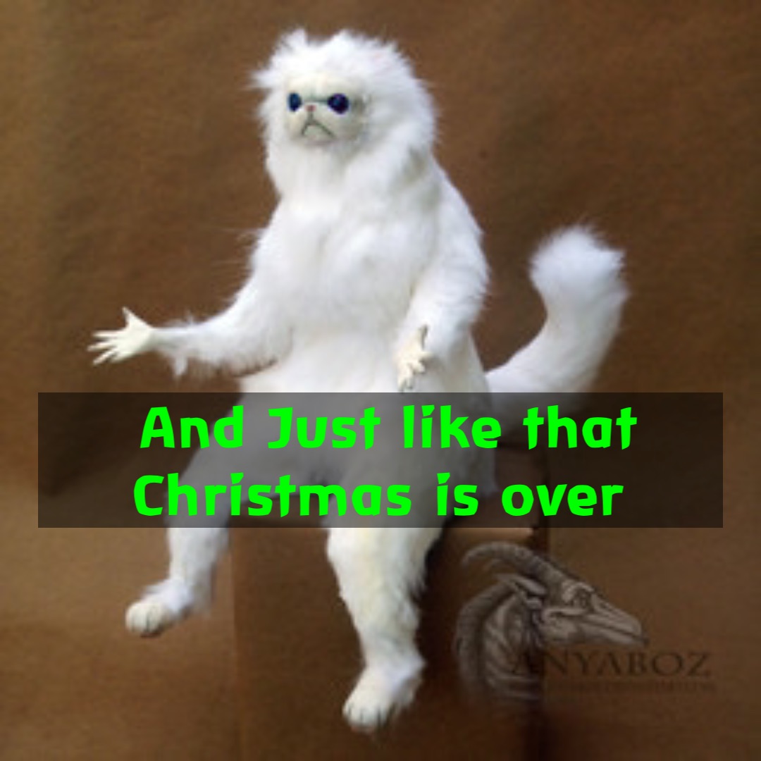 And Just like that Christmas is over