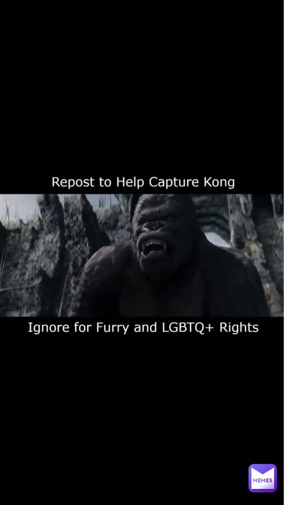 Meme shared by @57hyvx24ea
