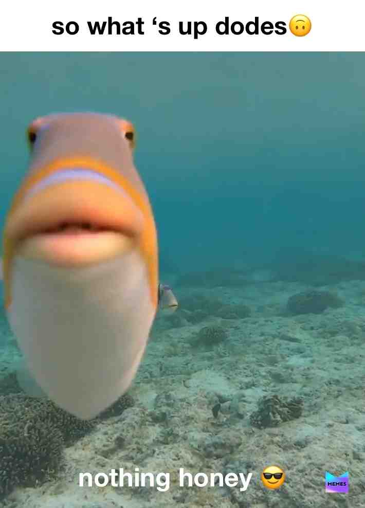#fish