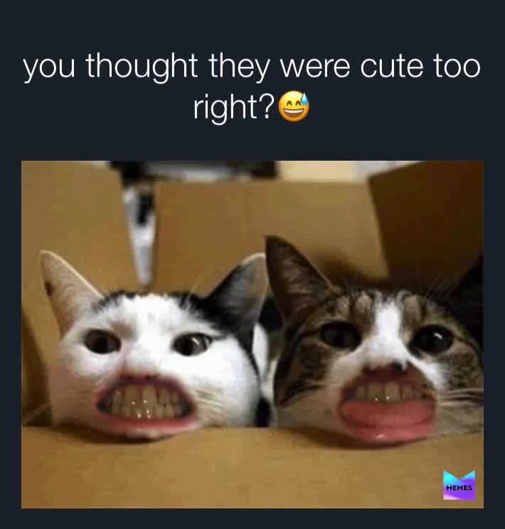 #cats  #mouth