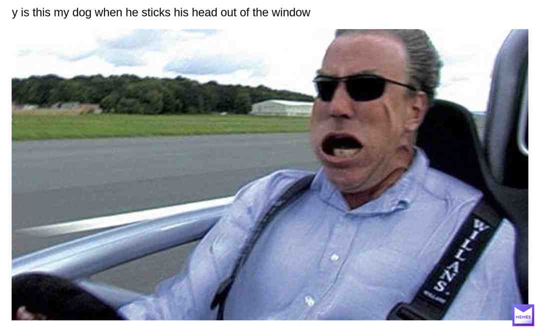 Meme shared by @wt_frick