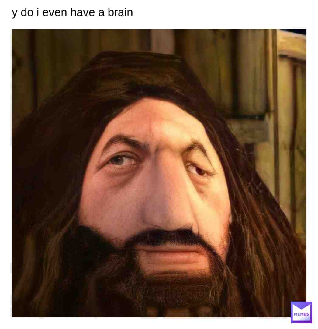 Meme shared by @wt_frick