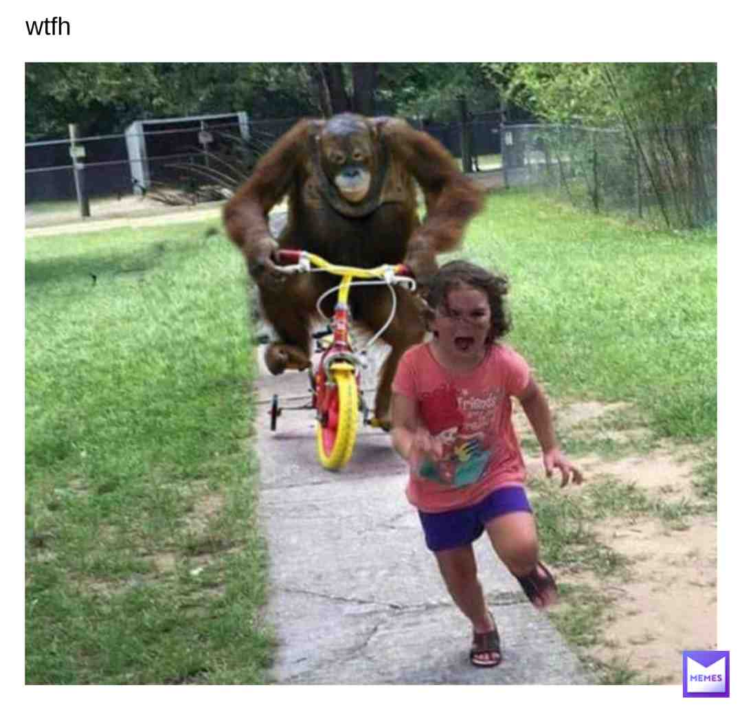 Meme shared by @wt_frick