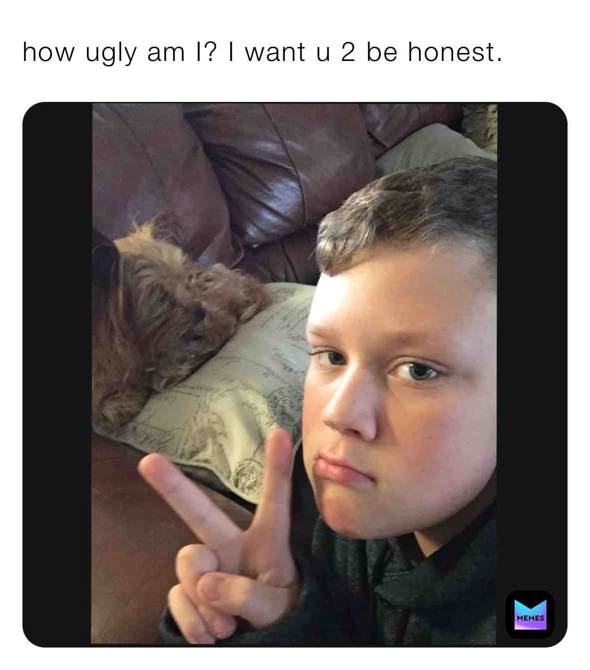 Meme shared by @hmcheckplease094