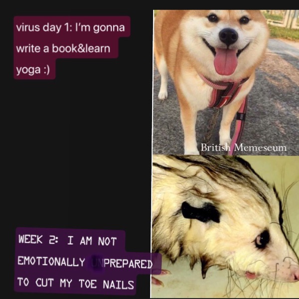 Meme by British_Memeseum_