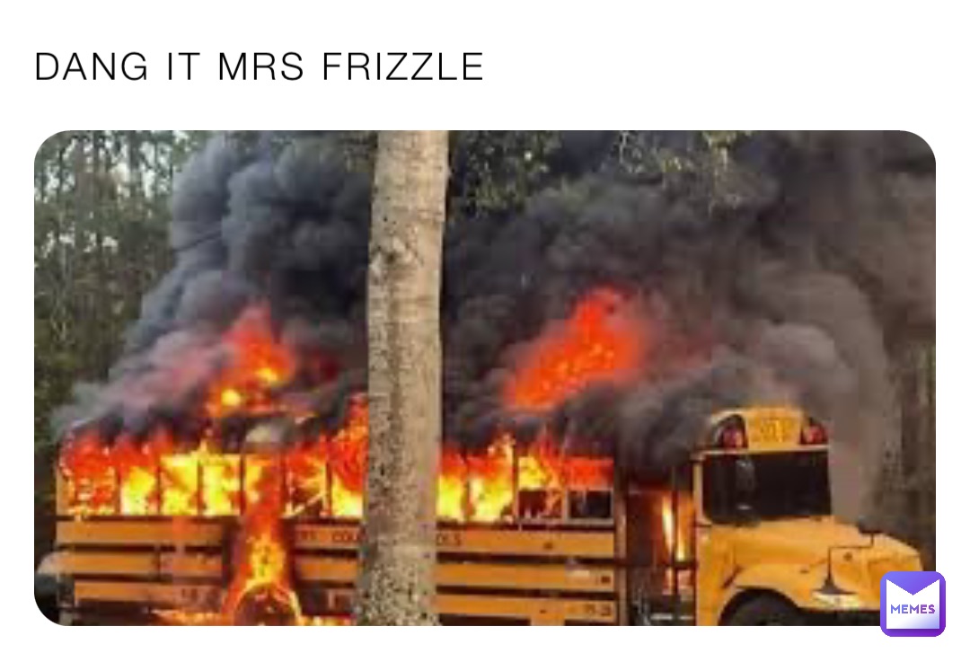 DANG IT MRS FRIZZLE