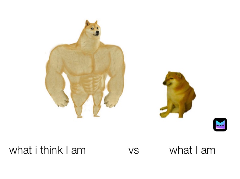 what i think I am              vs          what I am
