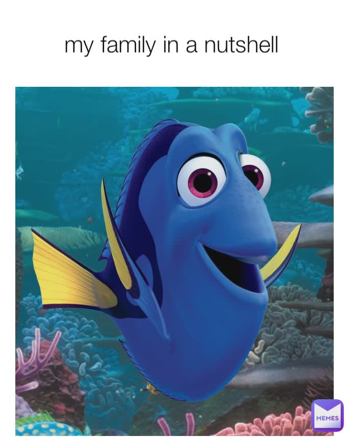 my family in a nutshell 
