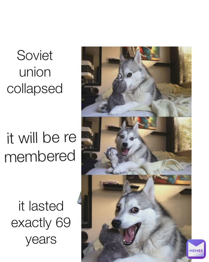 husky dog memes