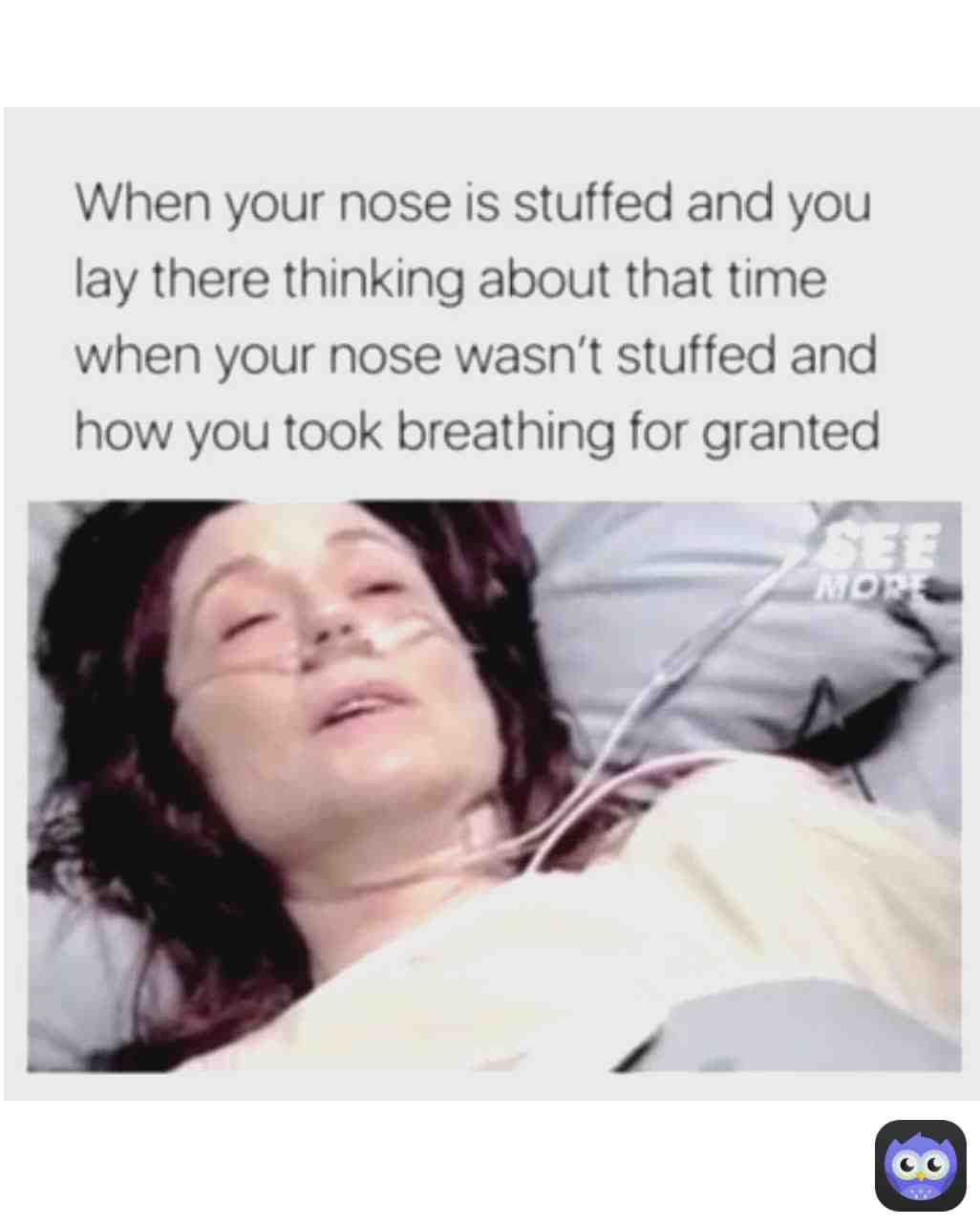 Meme shared by @BubblesToday