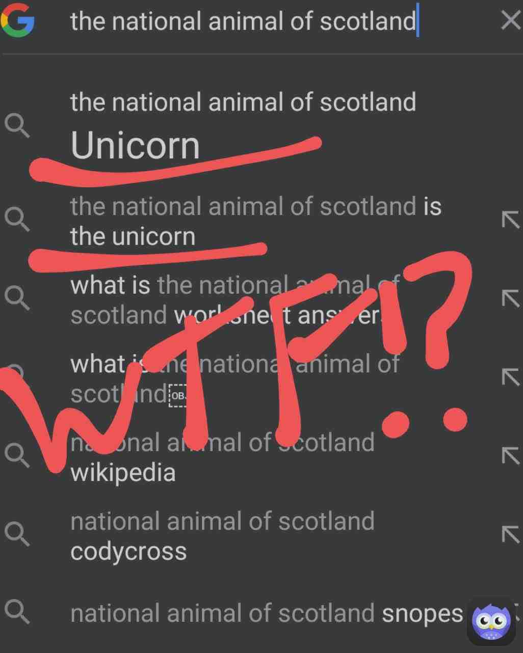 Like what the heck dude. Also, leave me suggestion on what to google next.
