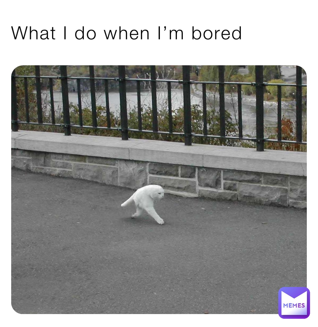 Meme by persayishammons