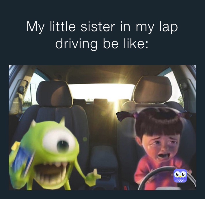My little sister in my lap driving be like: