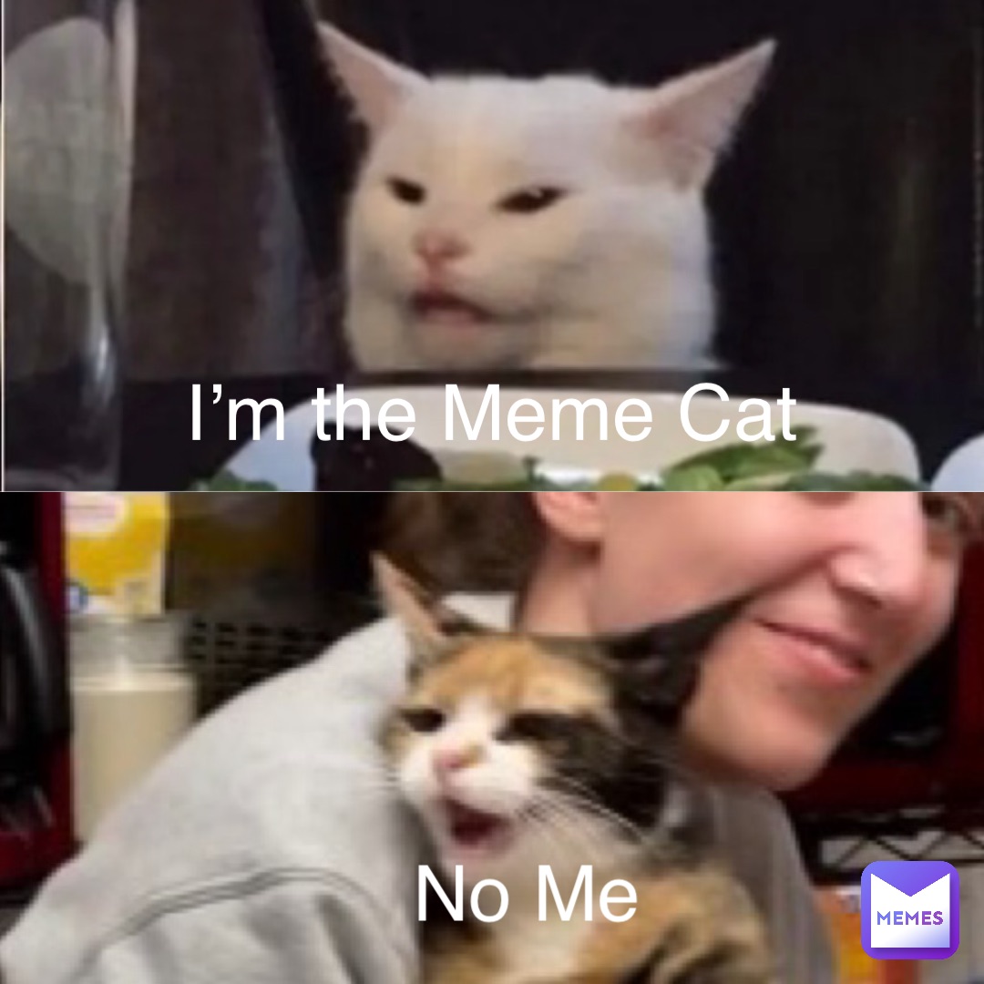 I’m the Meme Cat No Me