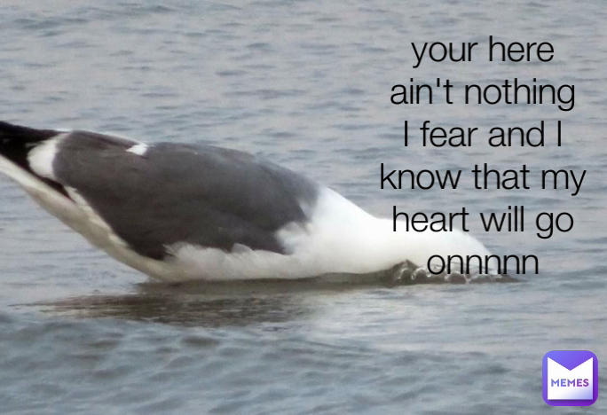 your here ain't nothing I fear and I know that my heart will go onnnnn