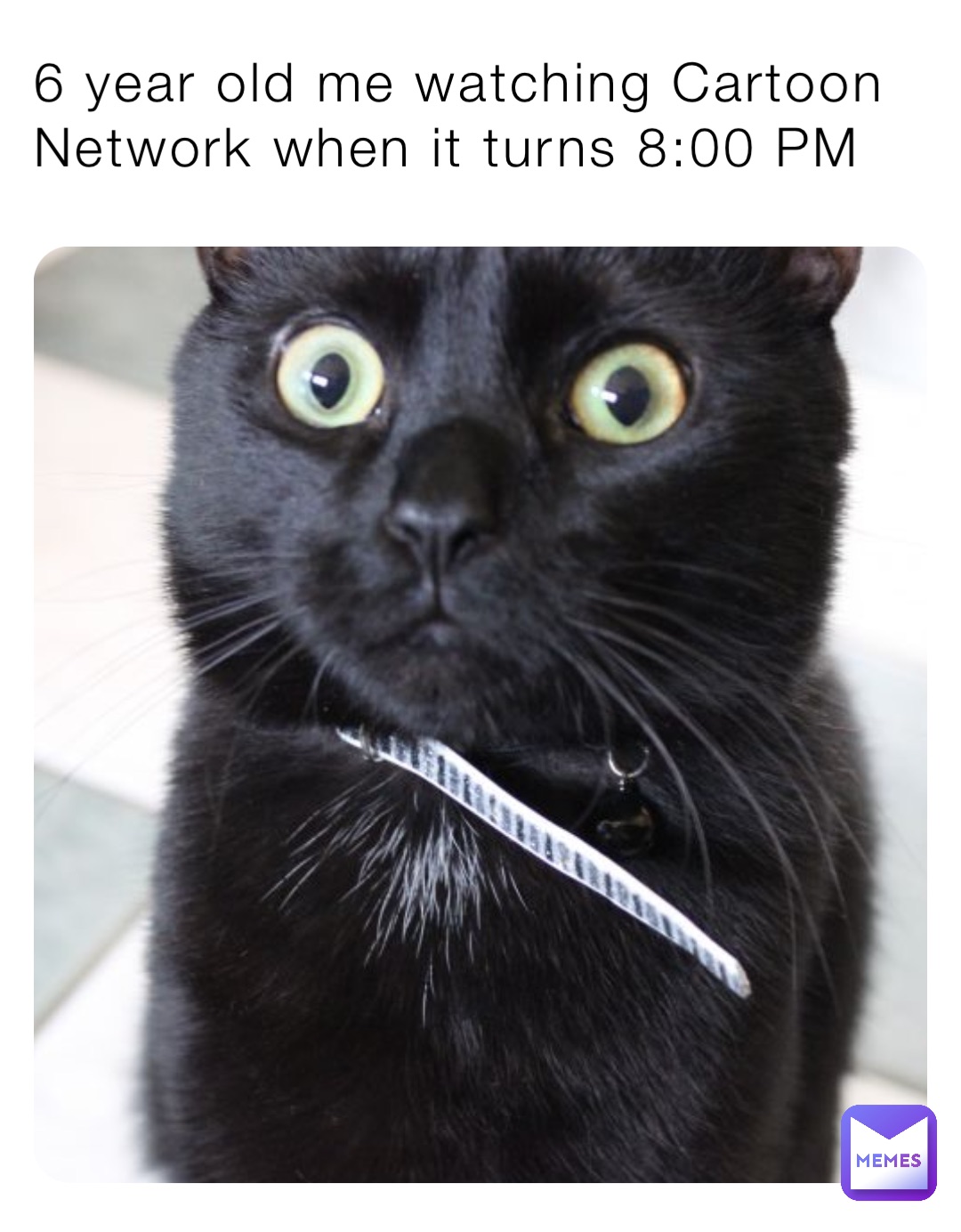 6 year old me watching Cartoon Network when it turns 8:00 PM