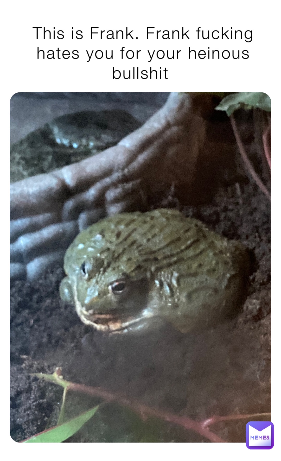 This is Frank. Frank fucking hates you for your heinous bullshit