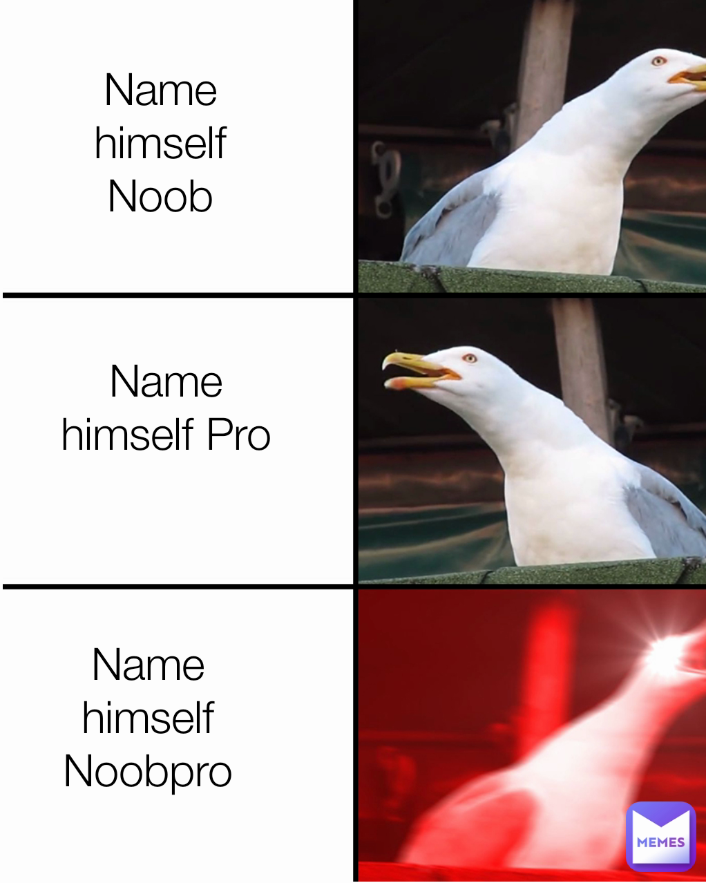 Name himself Noobpro Name himself Noob Name himself Pro