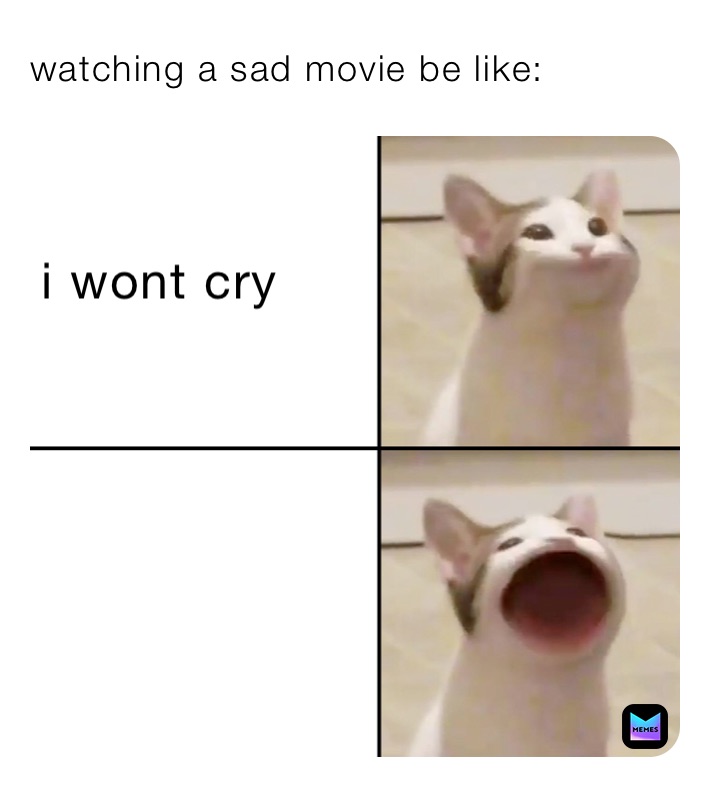 watching a sad movie be like: