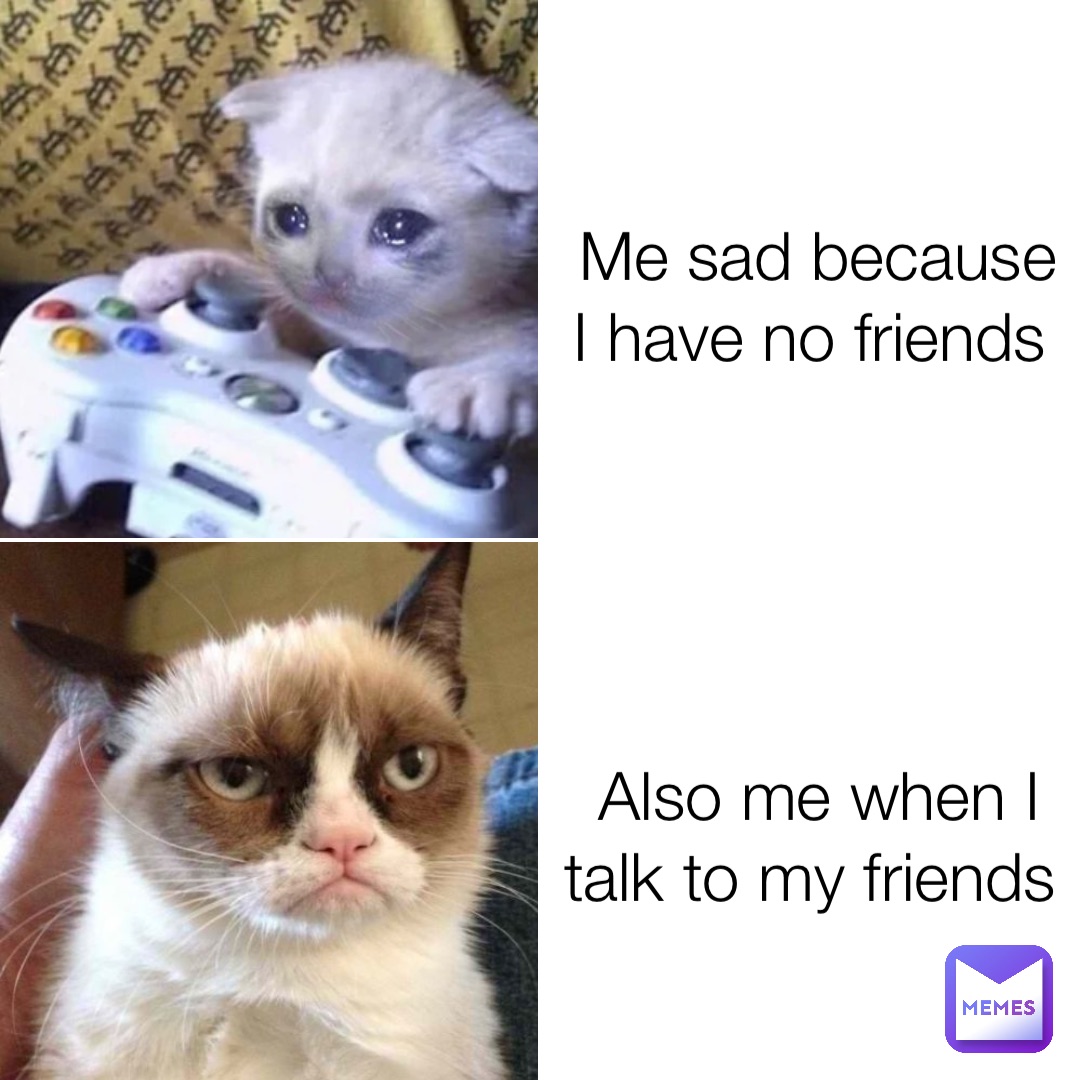 Me sad because I have no friends Also me when I talk to my friends