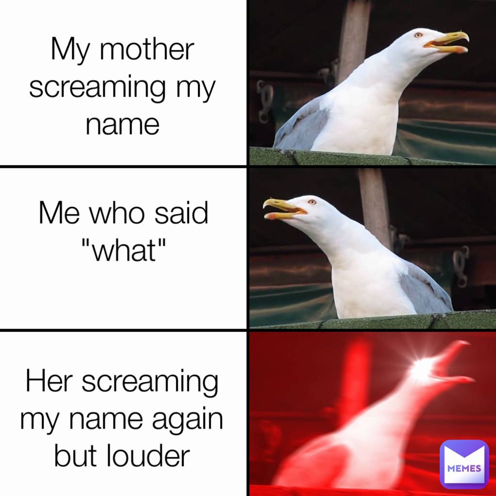 Her screaming my name again but louder Me who said "what"
 My mother screaming my name