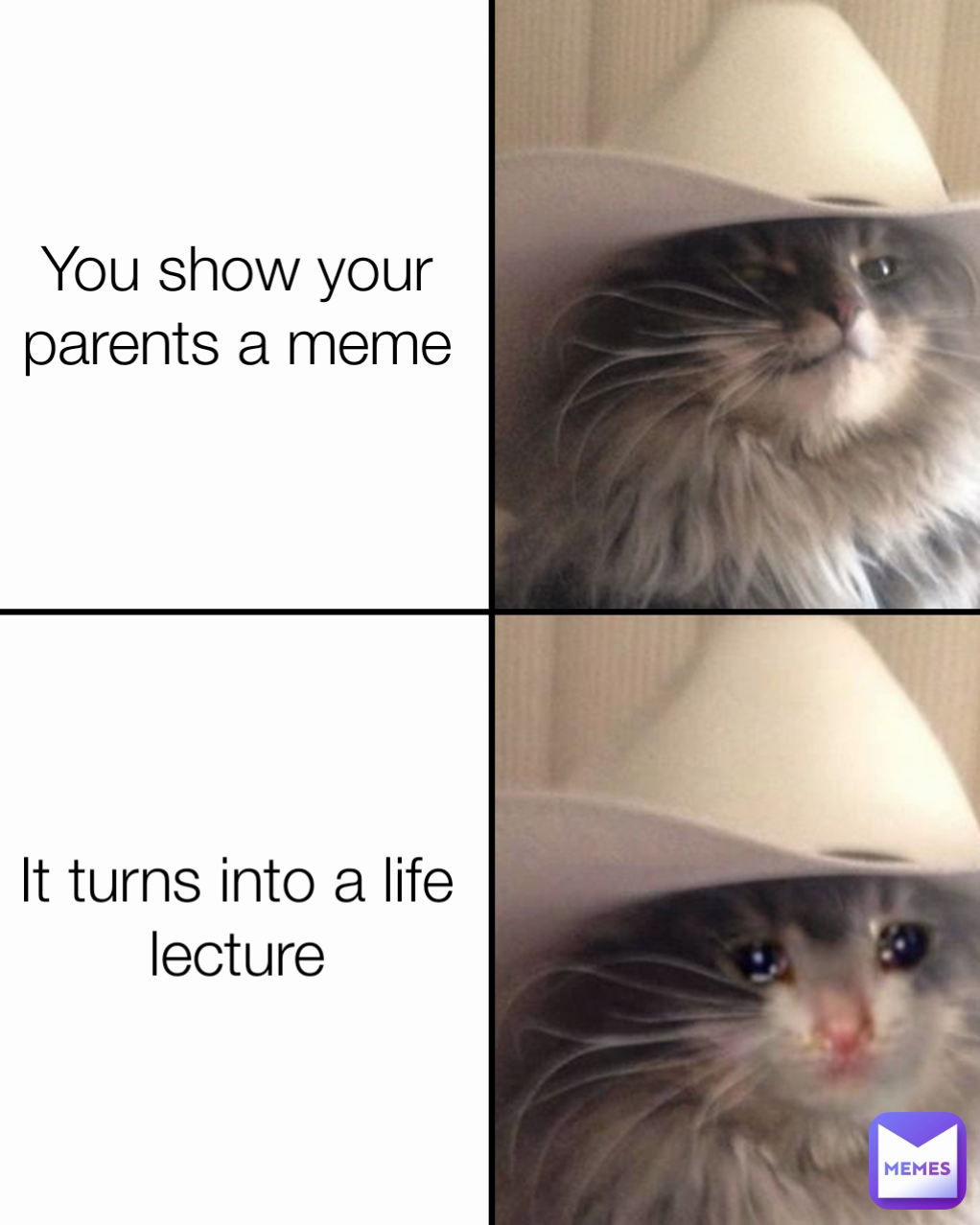 You show your parents a meme It turns into a life lecture