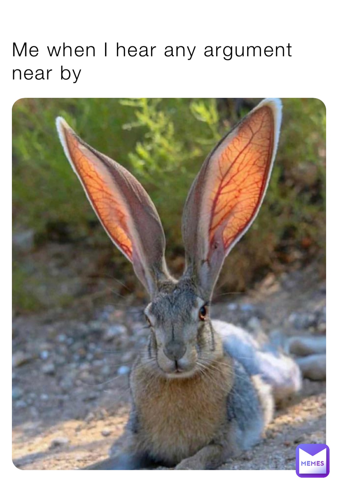 Me when I hear any argument near by