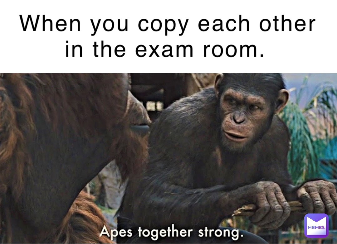 When you copy each other in the exam room.