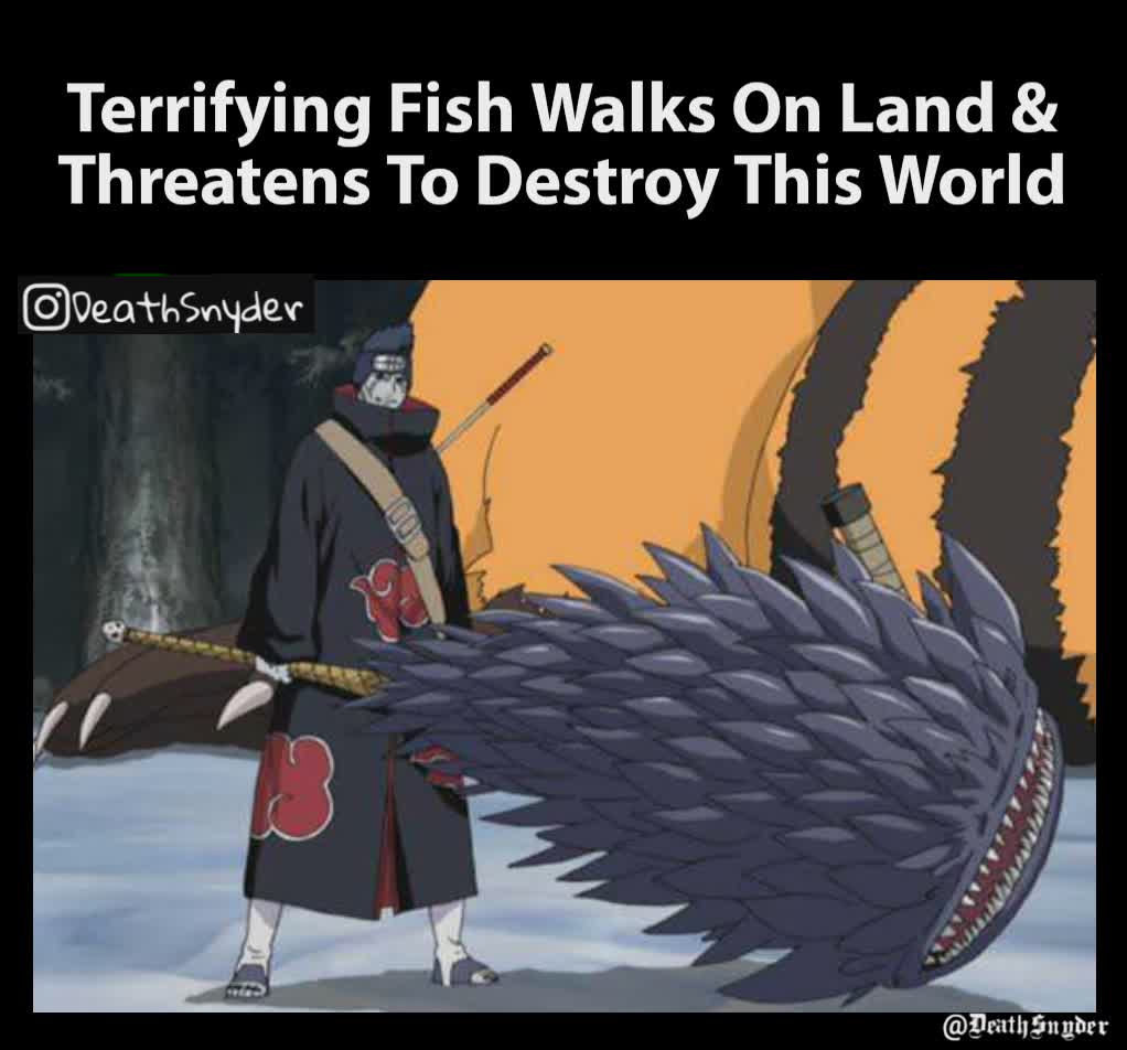 @DeathSnyder Terrifying Fish Walks On Land & Threatens To Destroy This World