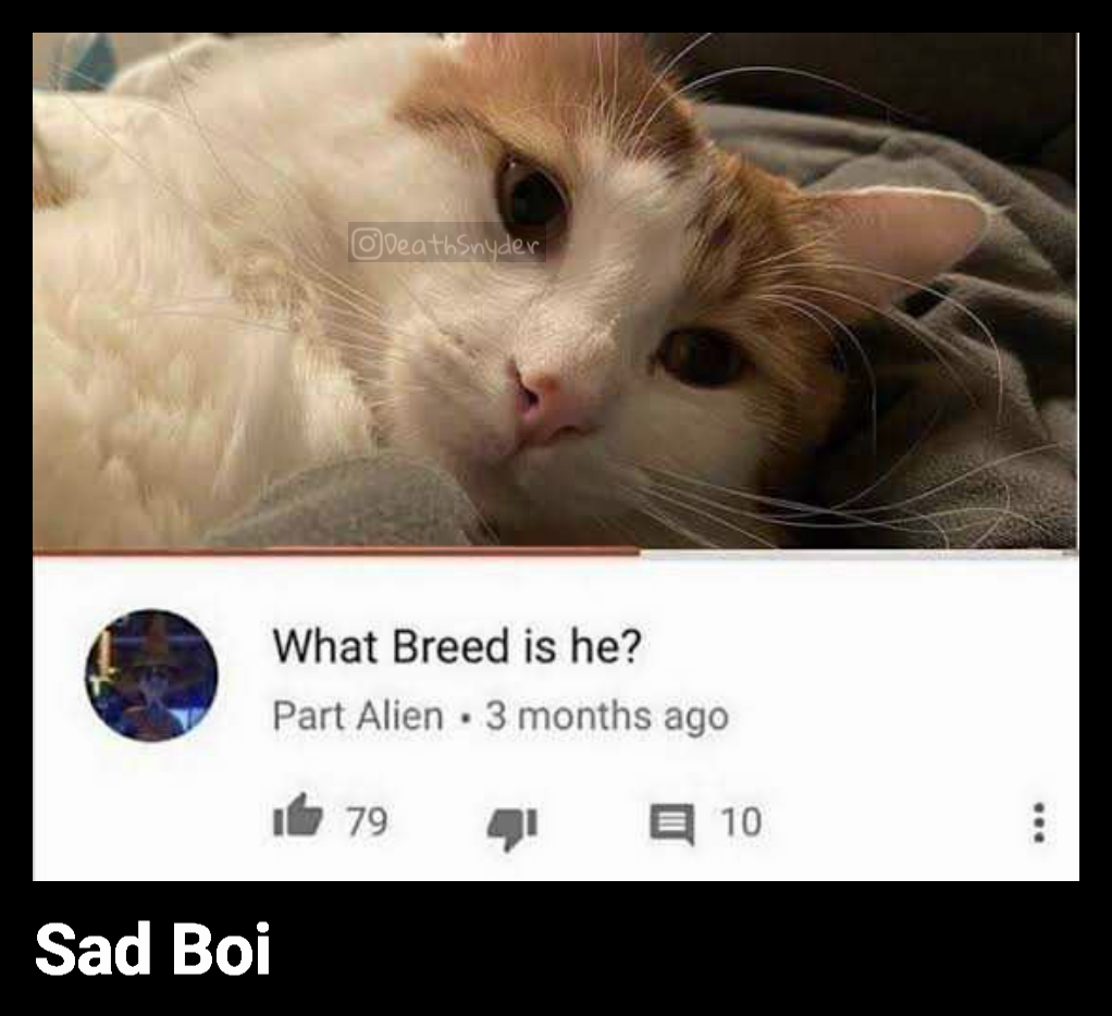 Sad Boi