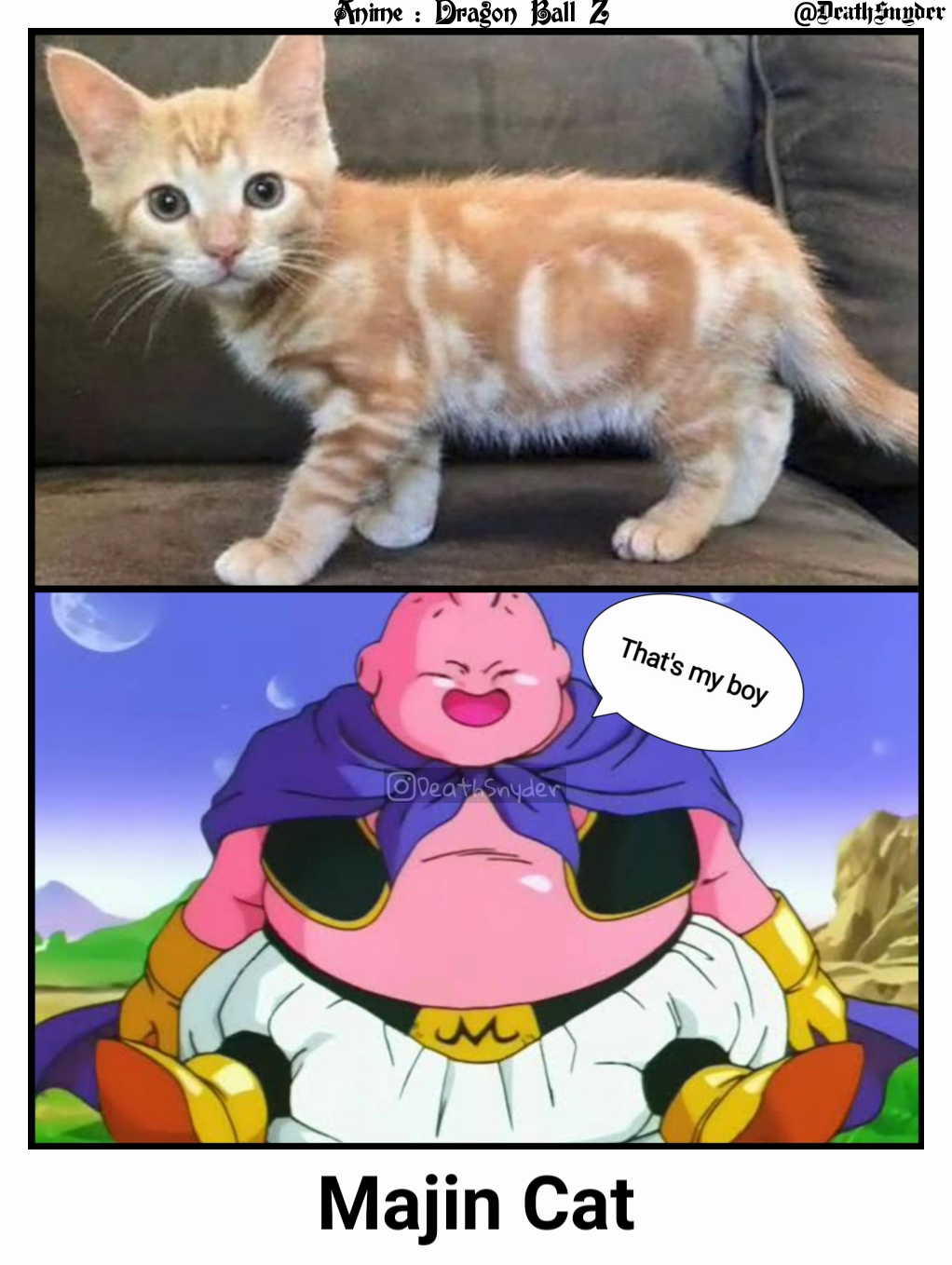 Majin Cat @DeathSnyder Anime : Dragon Ball Z