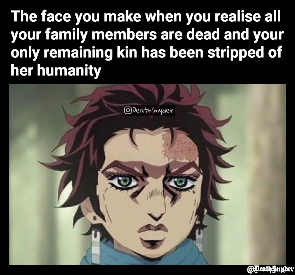 The face you make when you realise all your family members are dead and your only remaining kin has been stripped of her humanity  @DeathSnyder 