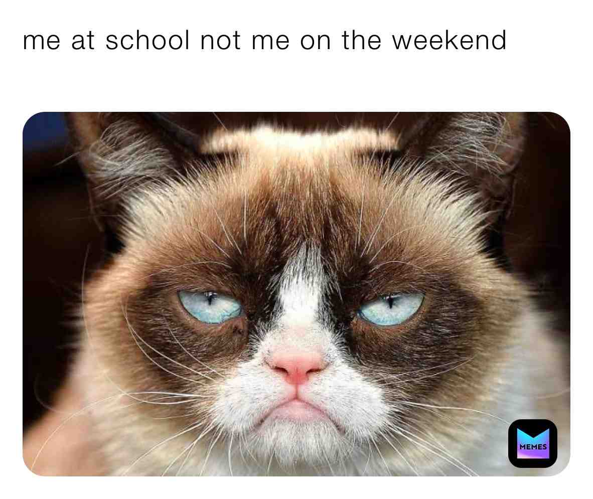 Haha cat #grumpy mcat   #whatislife  #whatislife ​ #me ​ #me