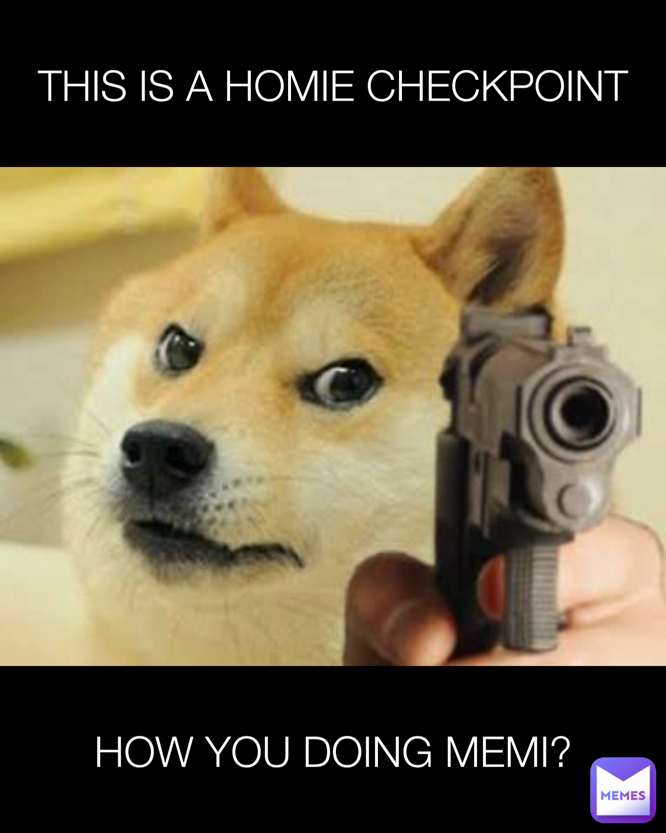 this-is-a-homie-checkpoint-how-you-doing-memi-plogmemer-memes