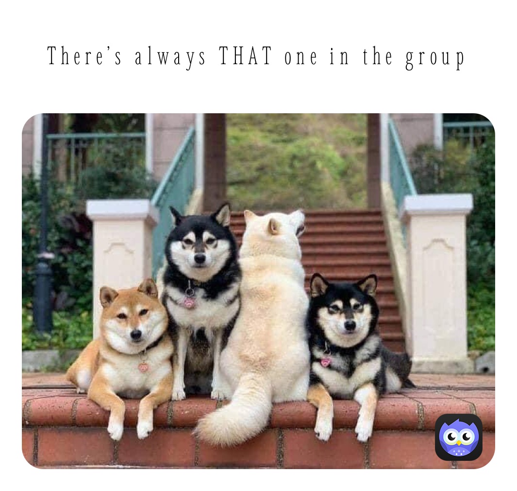 There's always THAT one in the group | @bebebuilt8o8 | Memes