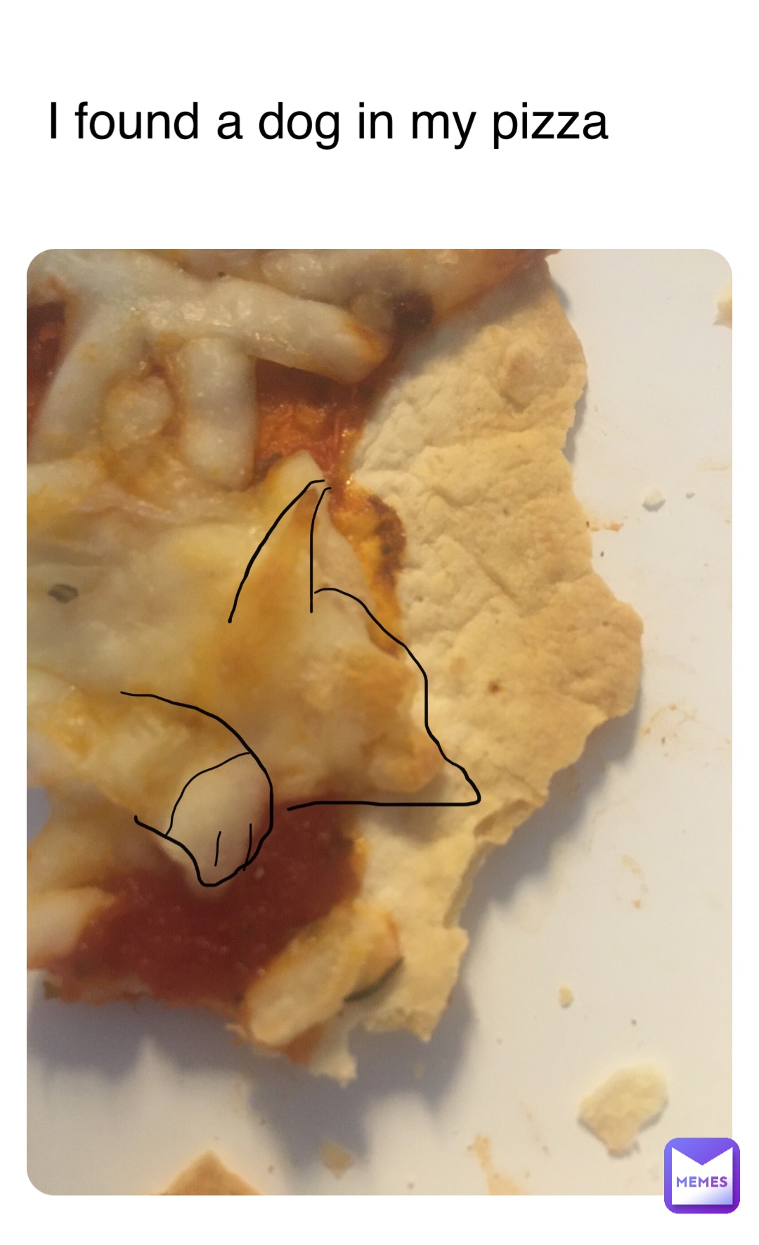 I found a dog in my pizza