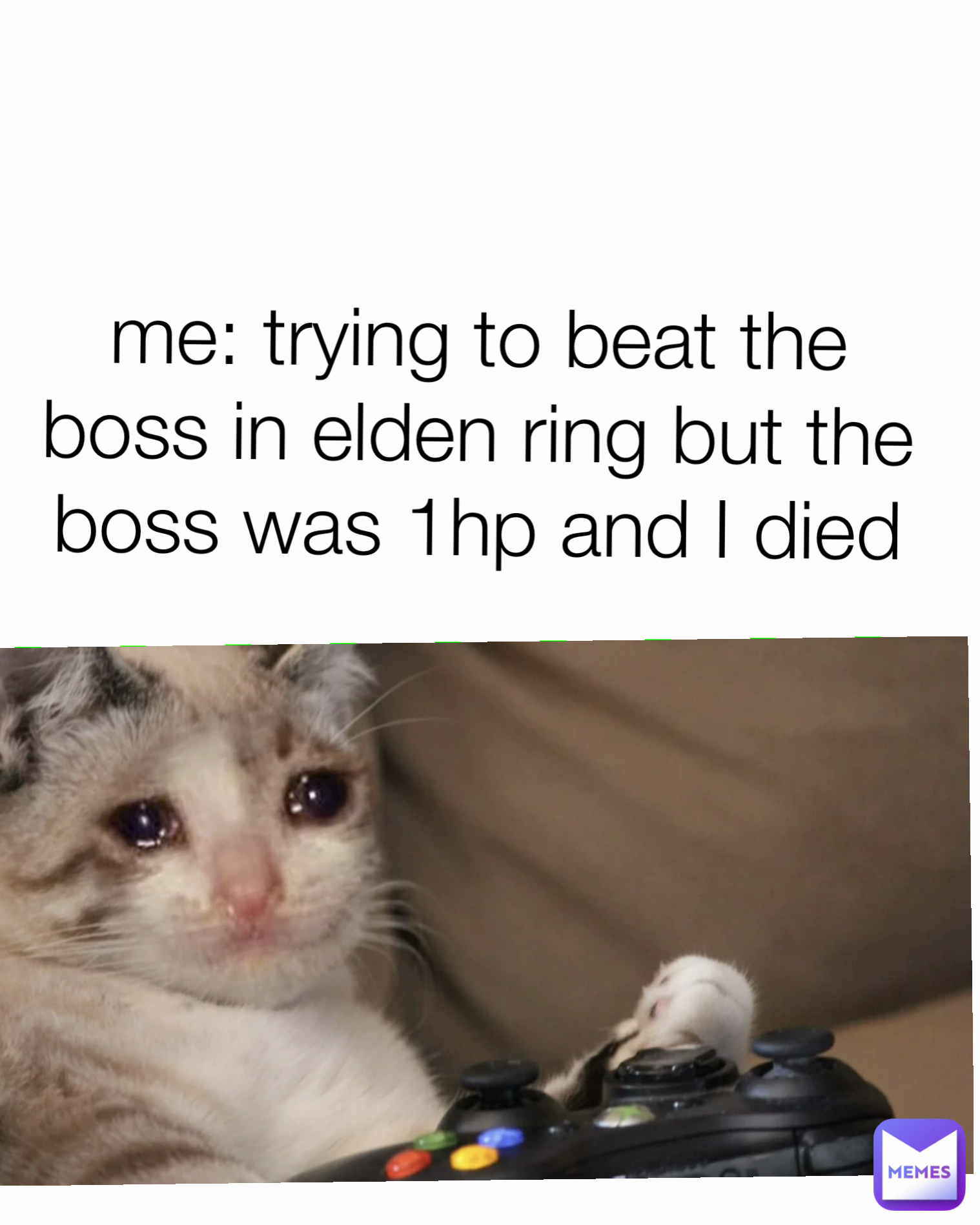 me: trying to beat the boss in elden ring but the boss was 1hp and I died