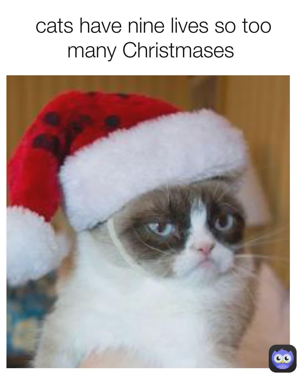  cats have nine lives so too many Christmases