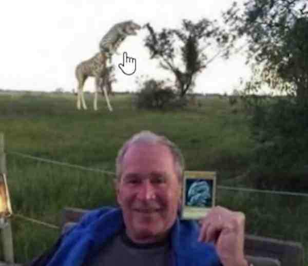 Where’s your blue eyes white dragon George got his