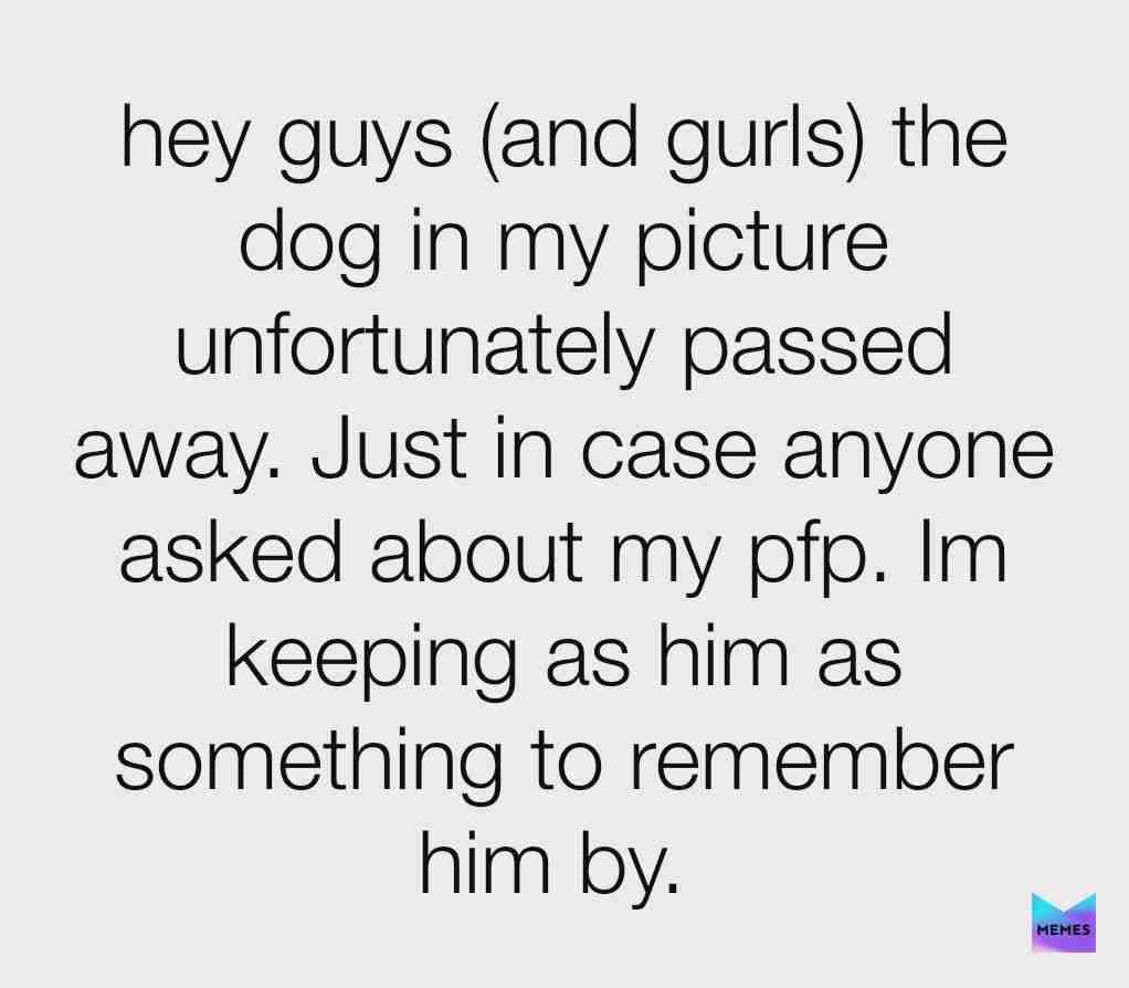 Eddie, was a good dog. Sorry if I made you sad but I just wanted people to know the reasons behind my pfp. Will get back to doing memes later.