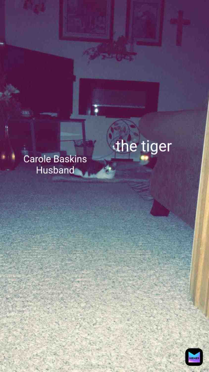 Yes #funny #carole#yes