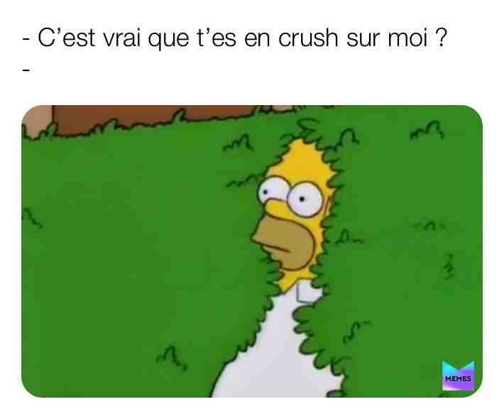 🌿🌿🌿 #lol #french #frenchmemes #francais #france #viral #new #today #white #memes #text
