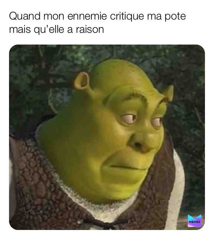 😐🤣 #lol #french #frenchmemes #viral #francais #france #new #today #white #memes #text
