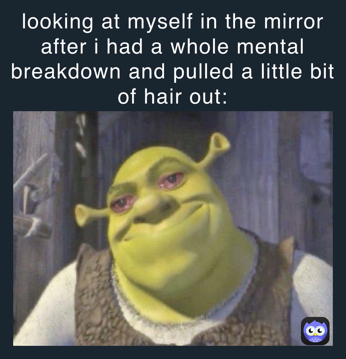 looking at myself in the mirror after i had a whole mental breakdown and pulled a little bit of hair out: