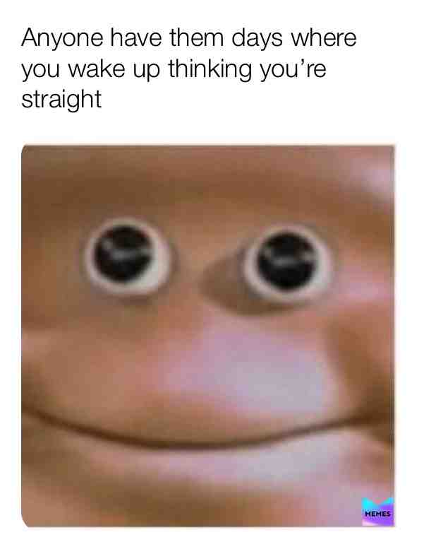 #gaypride #gaymemes #pansexual