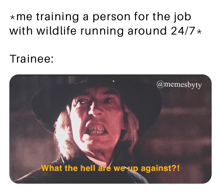 *me training a person for the job with wildlife running around 24/7*

Trainee: