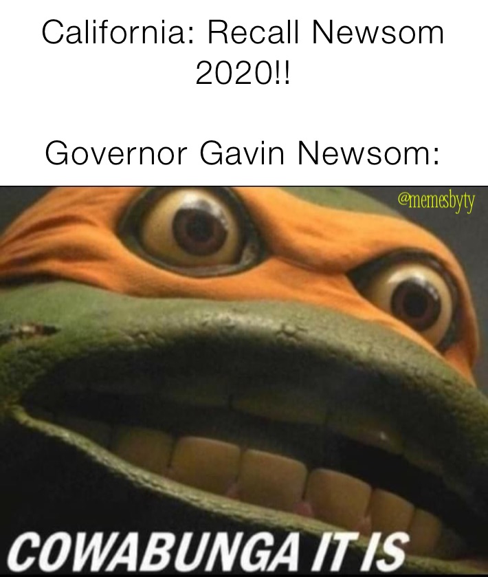California: Recall Newsom 2020!!

Governor Gavin Newsom:
