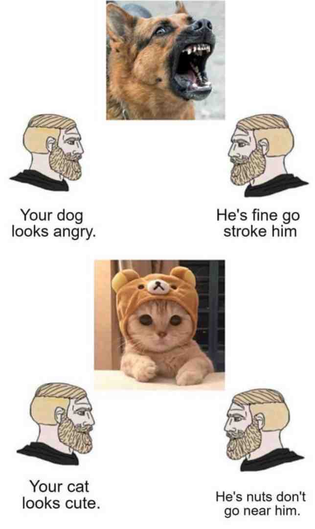 #lol