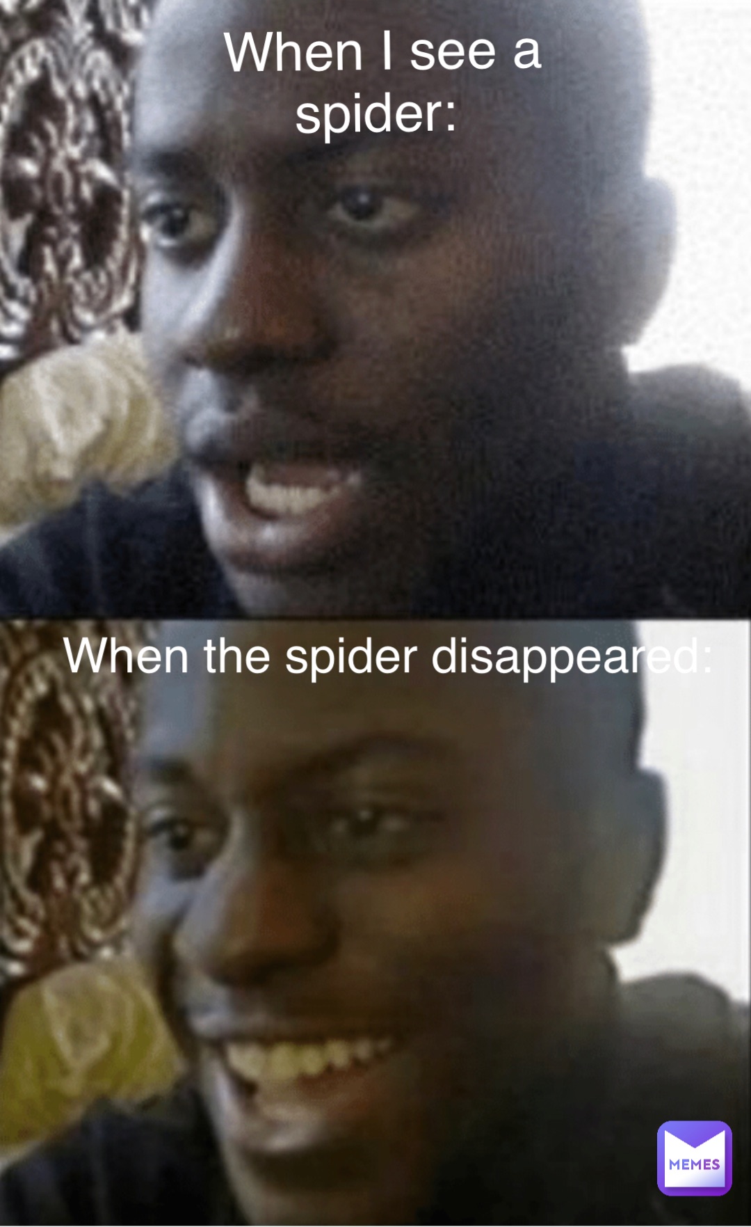 When I see a spider: When the spider disappeared: